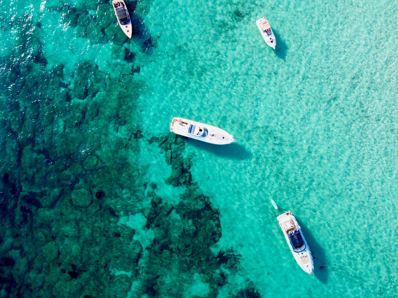 Anchors Aweigh! Family Fun on the Waves: Activities for Boaters of All Ages